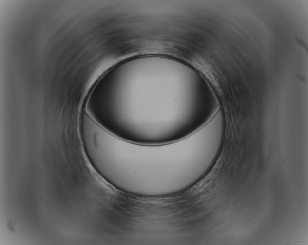 X0000092031342200709061343