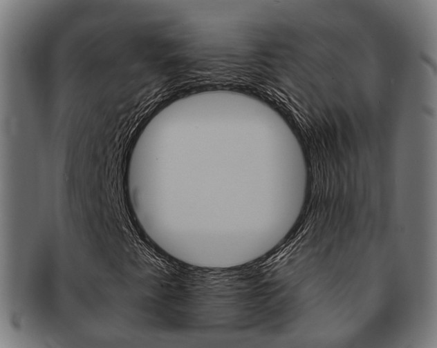 X0000092031345200709061342