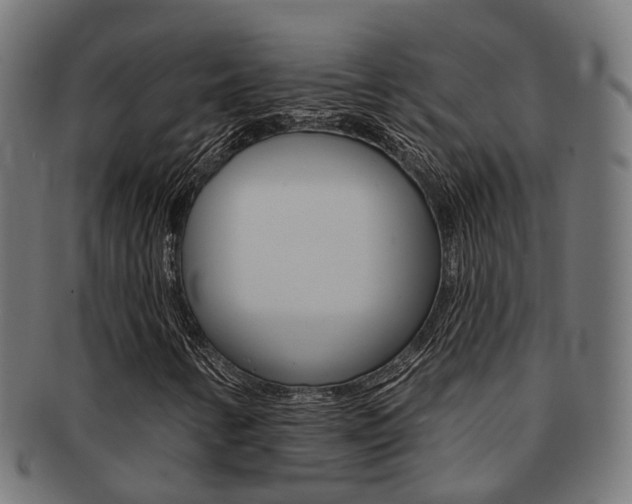 X0000092031346200709061342