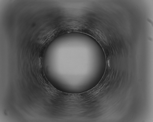 X0000092031347200709061342