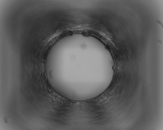 X0000092031350200709061342