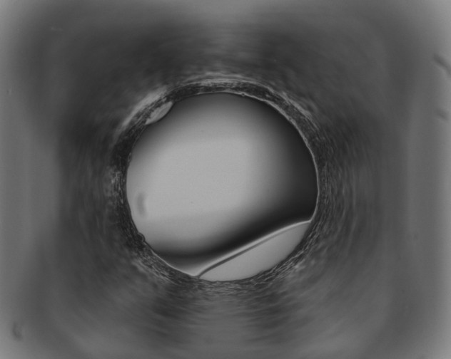 X0000092031351200709061342