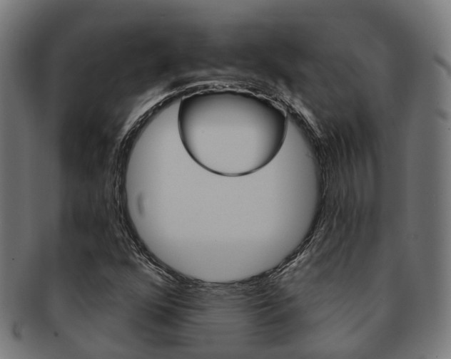 X0000092031352200709061342