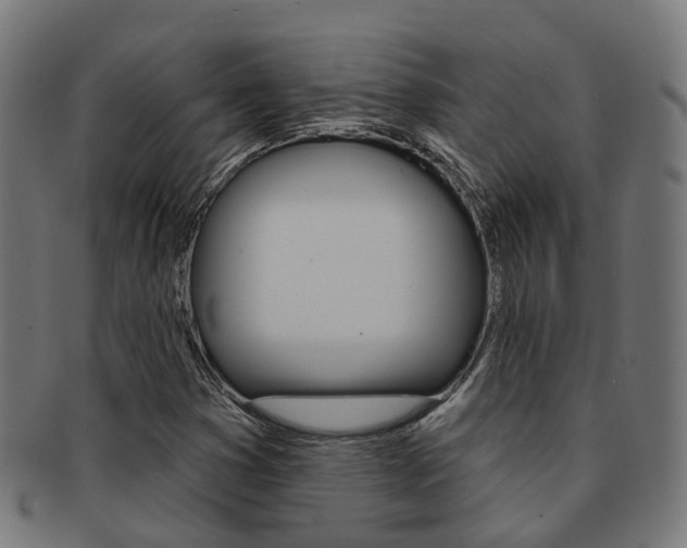 X0000092031353200709061342