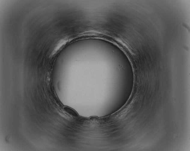X0000092031355200709061342