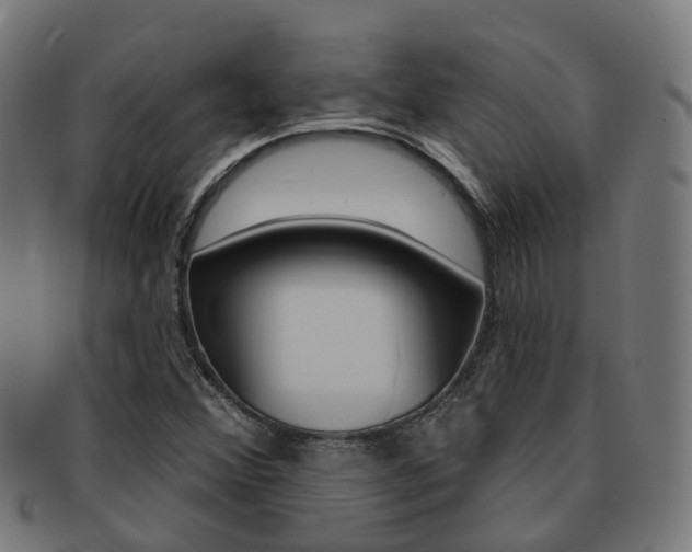 X0000092031356200709061342