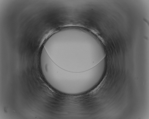 X0000092031357200709061342