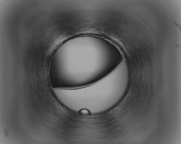 X0000092031359200709061342