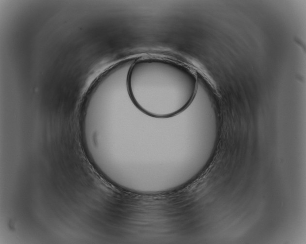 X0000092031360200709061342