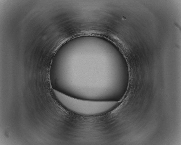 X0000092031361200709061342