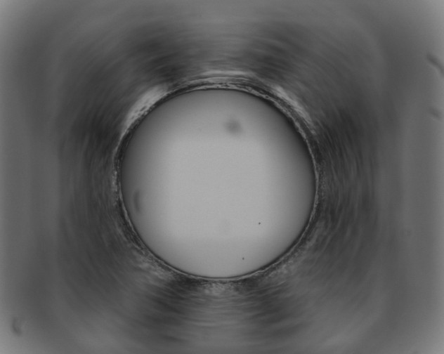X0000092031362200709061342