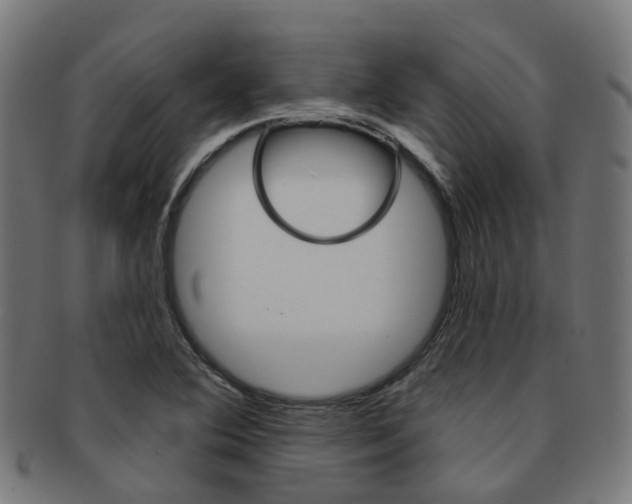 X0000092031364200709061342