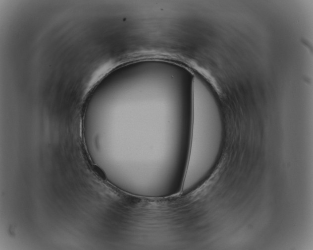 X0000092031365200709061342