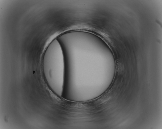 X0000092031366200709061342