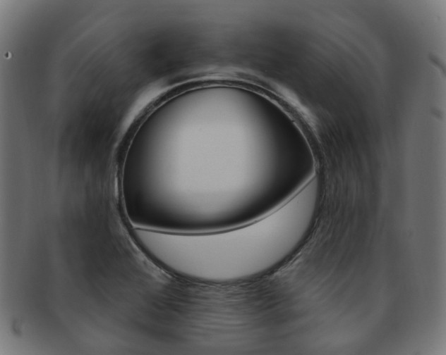 X0000092031368200709061342