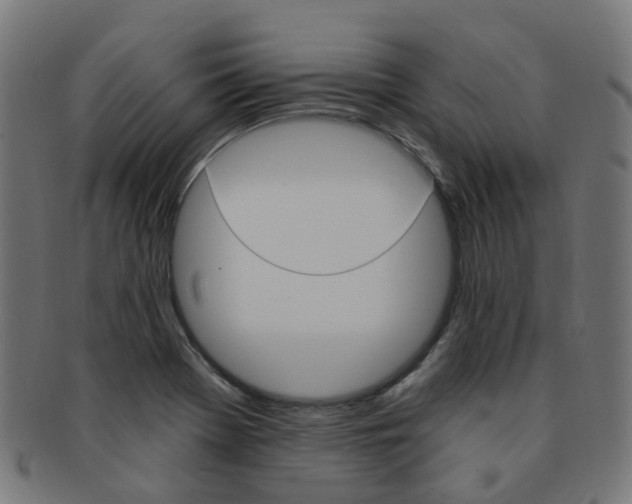 X0000092031369200709061342
