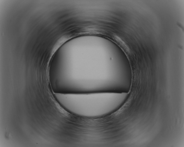 X0000092031370200709061342