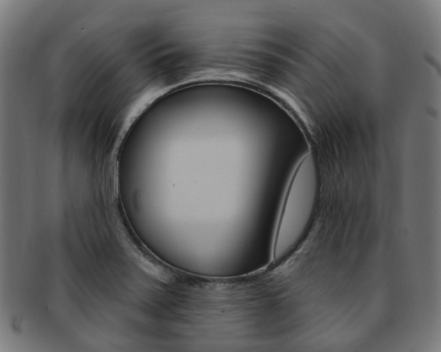 X0000092031371200709061342