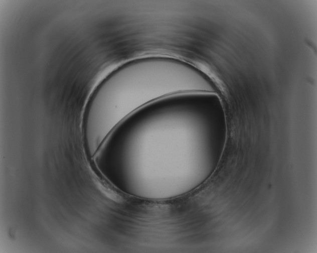 X0000092031372200709061342