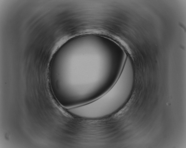 X0000092031373200709061342