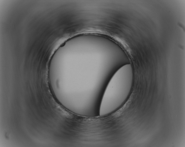 X0000092031374200709061342