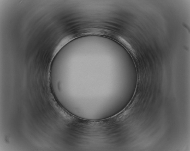X0000092031378200709061341