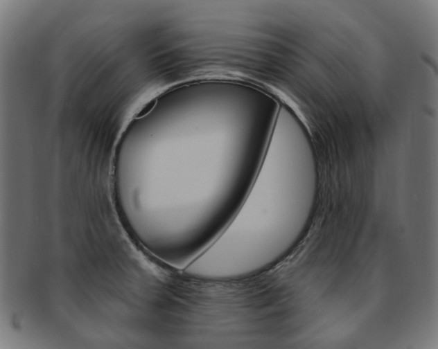 X0000092031379200709061341