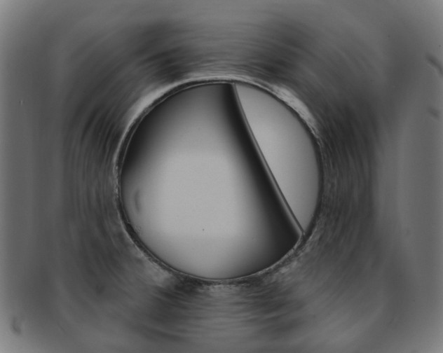 X0000092031380200709061341