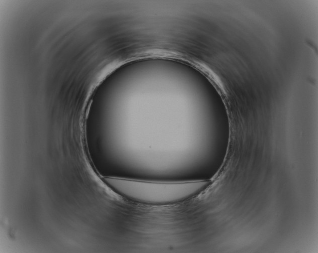 X0000092031381200709061341