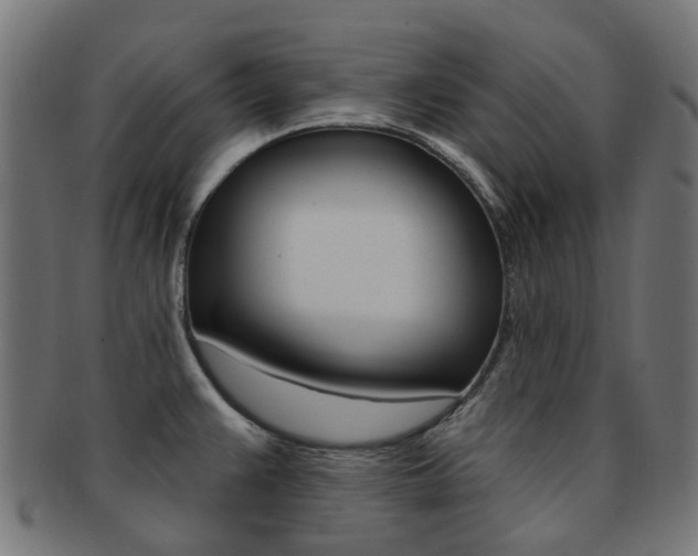 X0000092031383200709061341