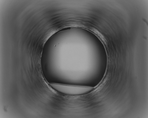 X0000092031385200709061341