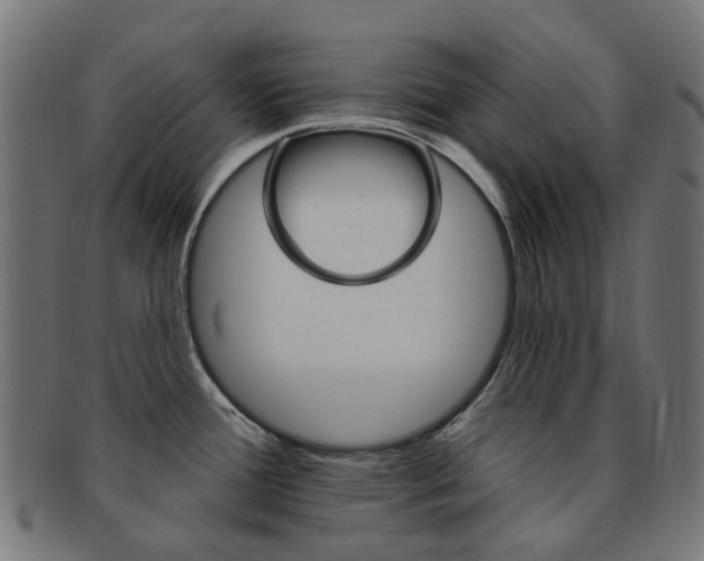 X0000092031388200709061341
