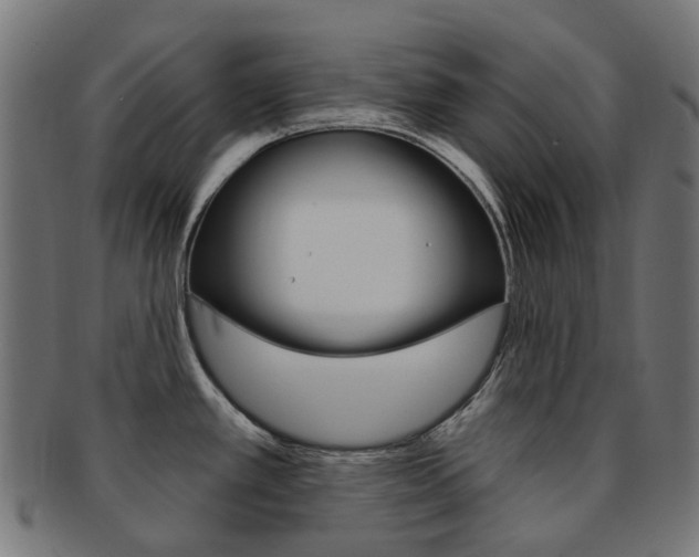 X0000092031389200709061341