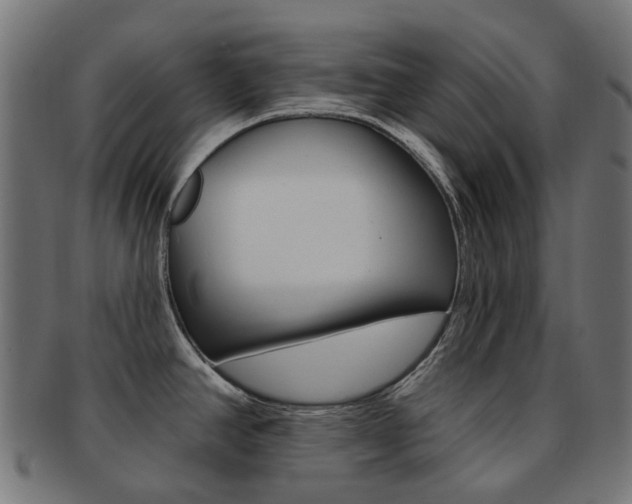 X0000092031390200709061341