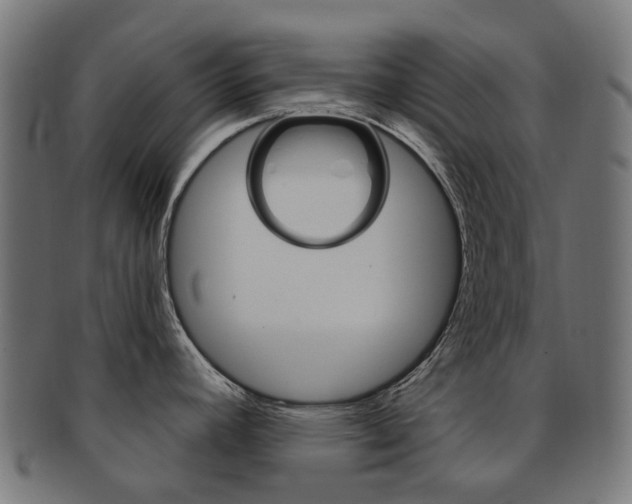 X0000092031392200709061341
