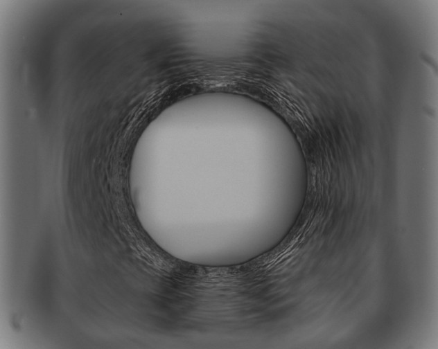 X0000092031393200709061341