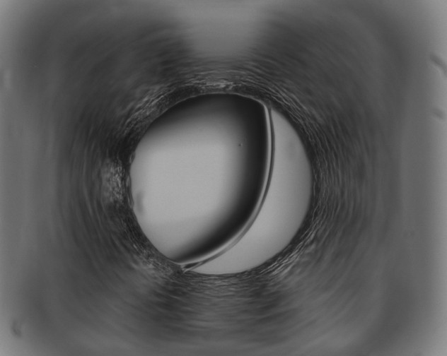 X0000092031394200709061341
