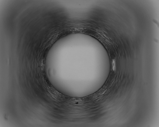 X0000092031395200709061341