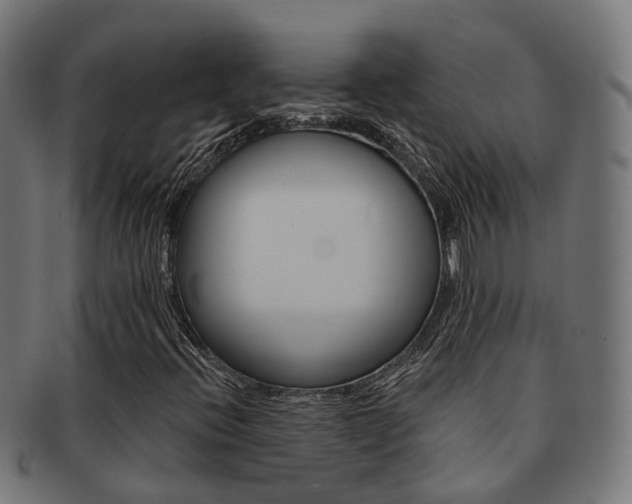 X0000092031396200709061341