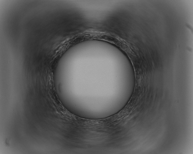 X0000092031397200709061341