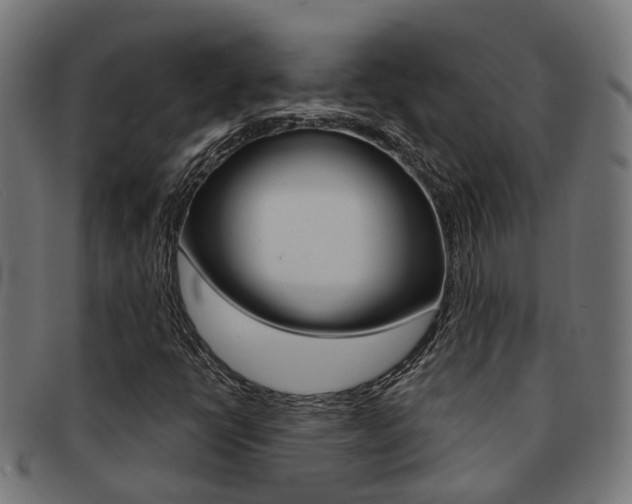 X0000092031398200709061341