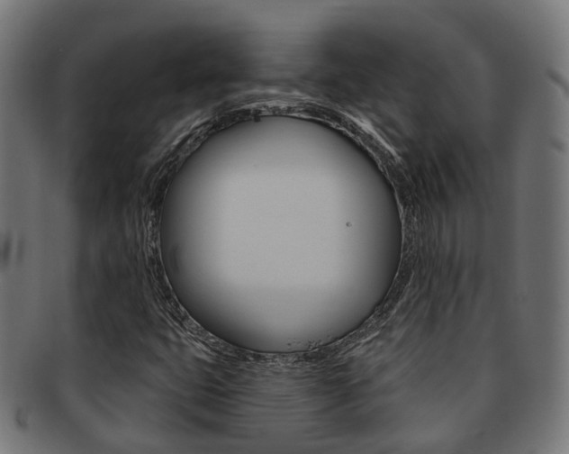 X0000092031399200709061341