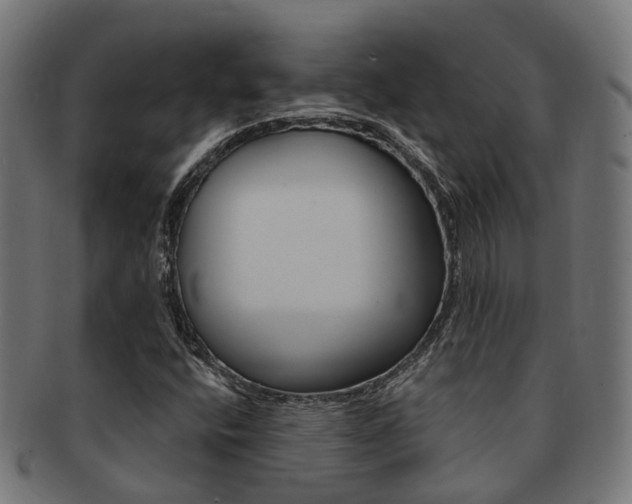 X0000092031400200709061341