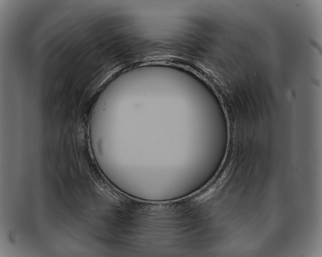 X0000092031401200709061341