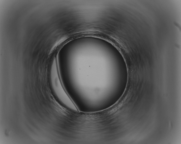 X0000092031402200709061341