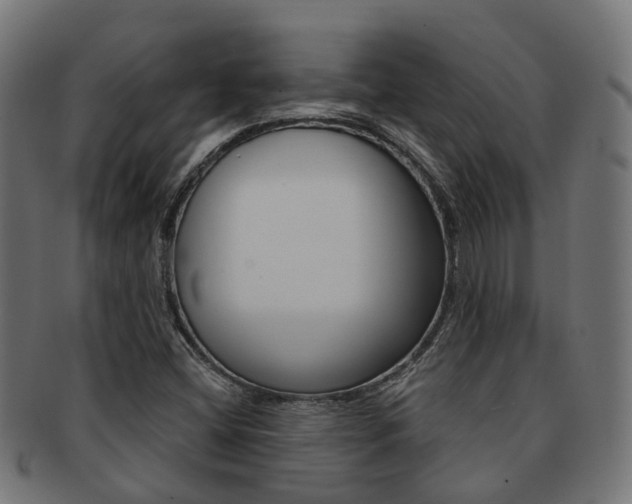X0000092031404200709061341