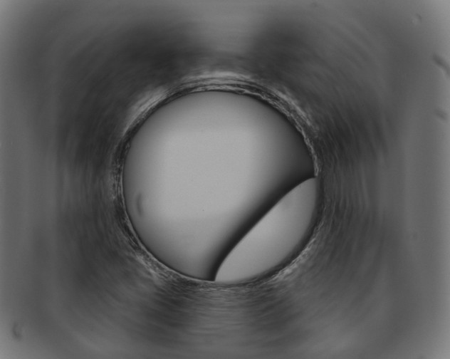 X0000092031405200709061341
