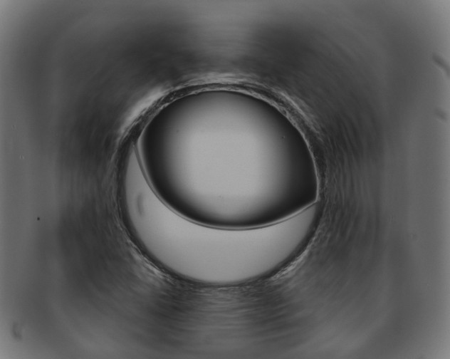 X0000092031406200709061341