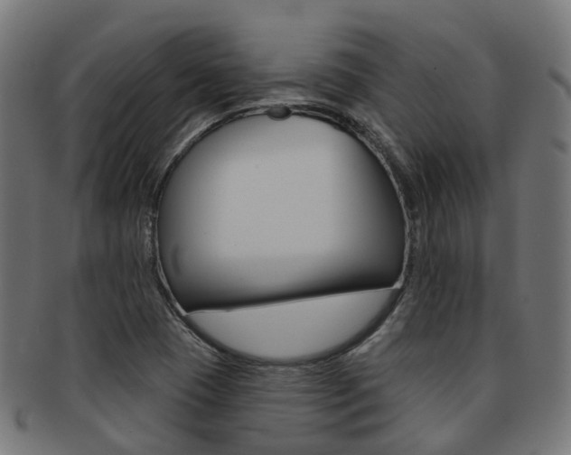 X0000092031409200709061341