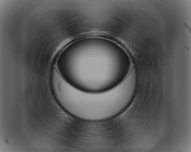 X0000092031410200709061341